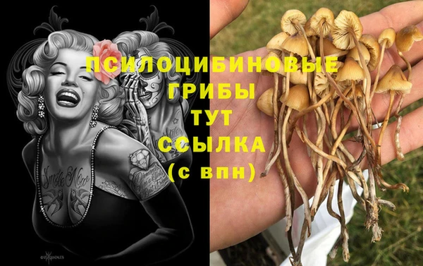 хмурый Абинск
